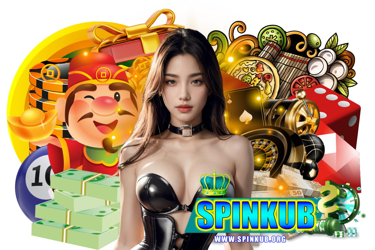 spinkub